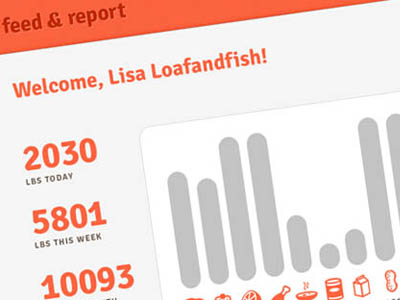 Feed & Report Dashboard